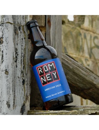 Romney American Pale (x12)